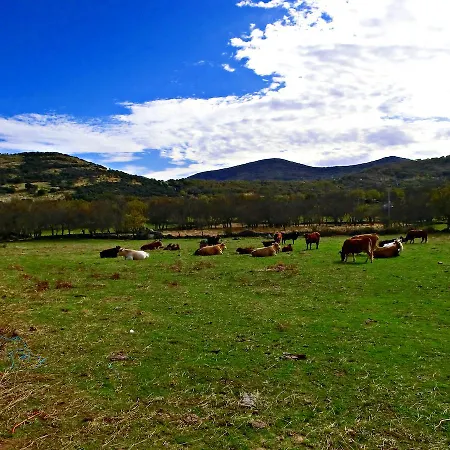 El Capricho De Los Montes Bed and Breakfast Las Navillas